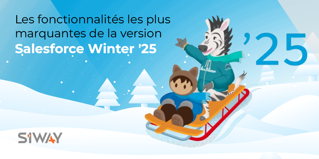 Salesforce Winter '25 Release